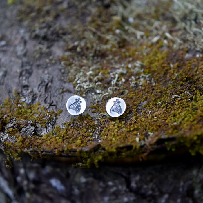 Insect Earring Studs